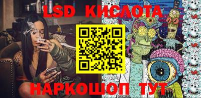 прущие крисы Камышлов
