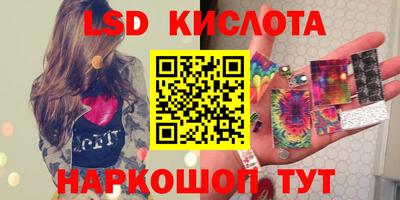 прущие крисы Камышлов