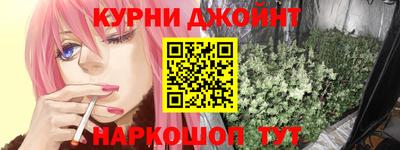 прущие крисы Камышлов