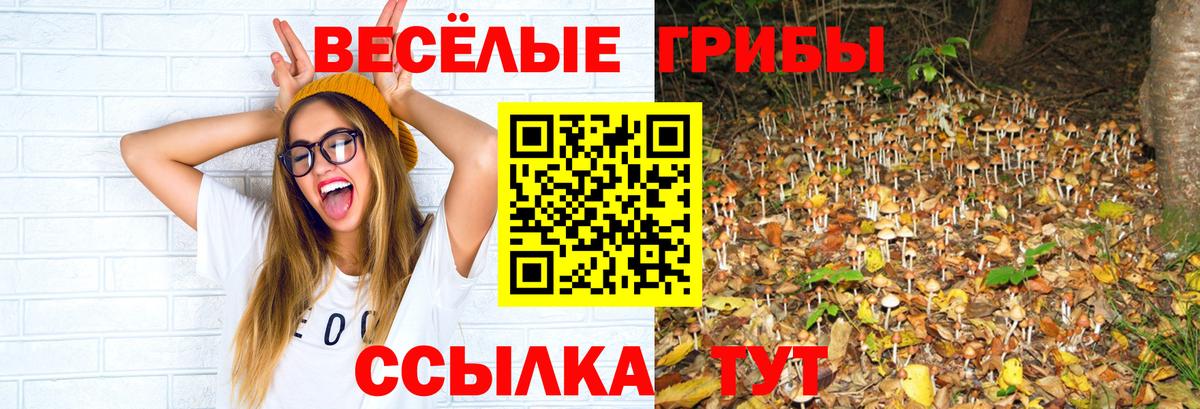 наркошоп  Галлюциногенные грибы Cubensis  Сыктывкар  Вход с VPN  Псилоцибиновые грибы мицелий 